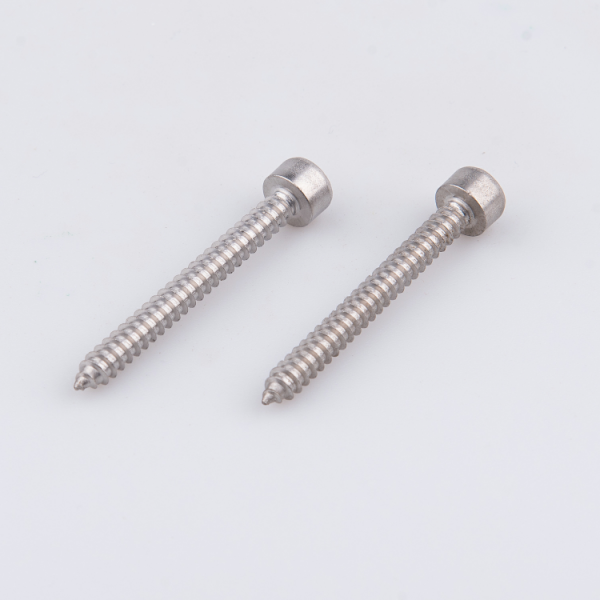 Stainless  Steel Hex Socket Cap Head Self Tapping Wood Screws 