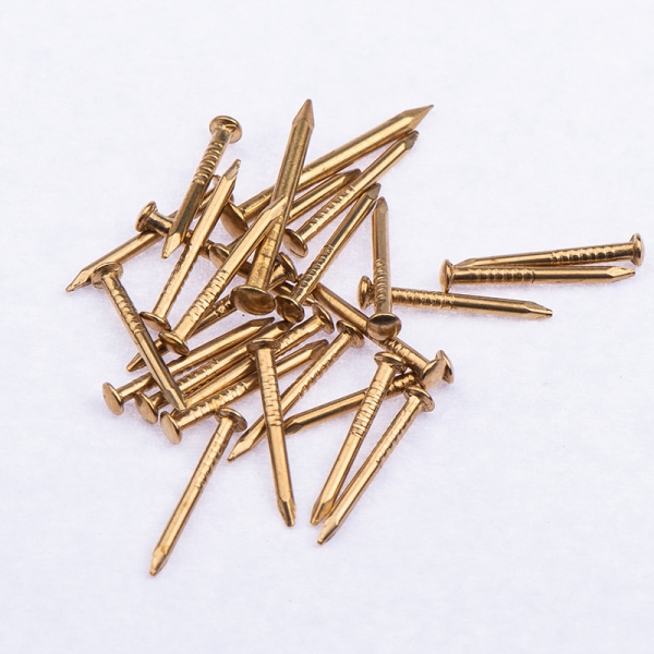 Galvanized Round Head 1.2*14mm Copper Nail Use For Musical Drums Photo Frame Accessories Brass Nail